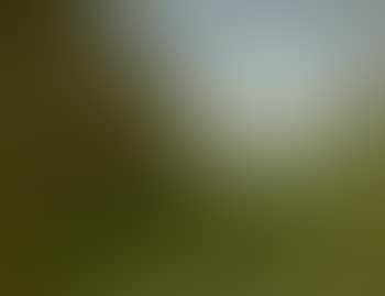 Paysage aux collines (preview)