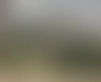 Paysage du midi (preview)
