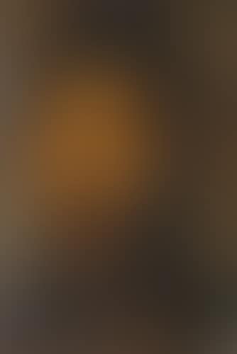 Portrait d'homme au collier de barbe (preview)
