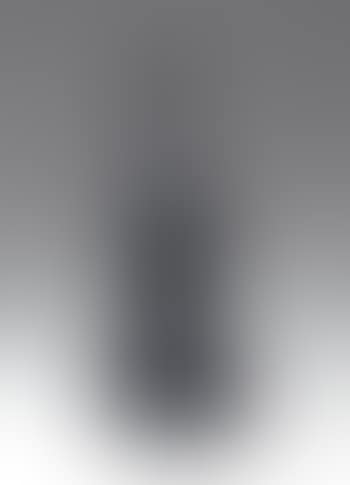 Paganini's ashes (preview)