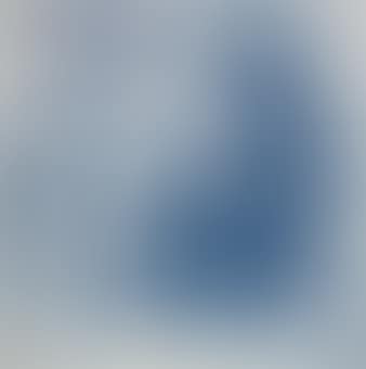 Traudel (preview)