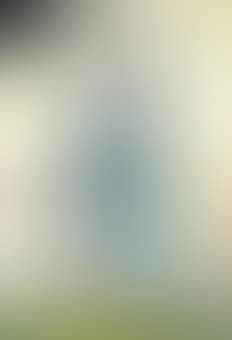 Le mur des lamentations (preview)