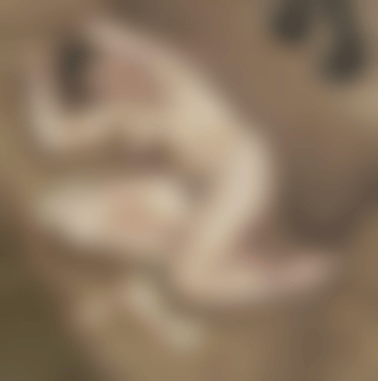 Naked Portrait with Reflection (preview)
