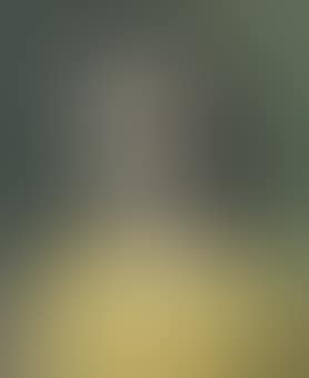 Portrait of a young woman (preview)