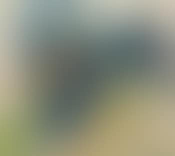 Femme lisant au jardin (preview)