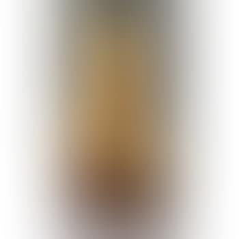 Female Torso (preview)