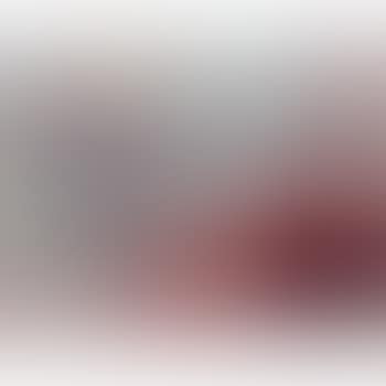 The Red Scow (preview)