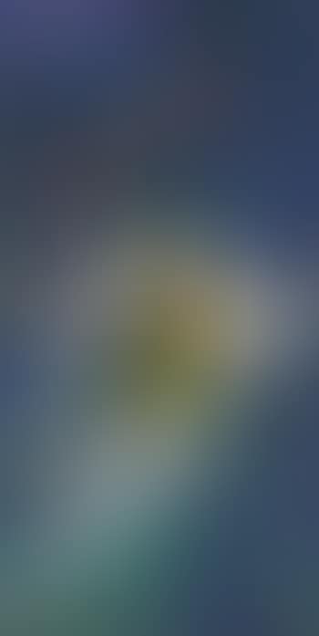 Blumen _ Mann (preview)