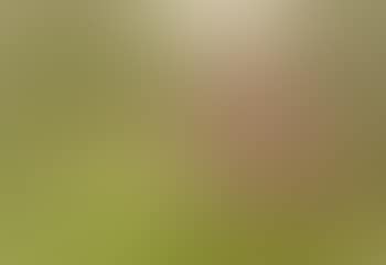 Gravel Pits Farm, Gomshall, Surrey (preview)