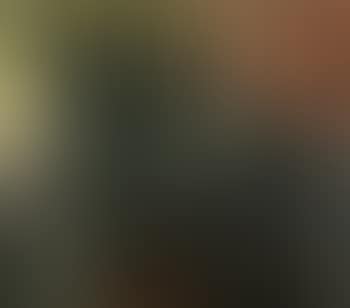 Auf hellem Hintergrund (preview)