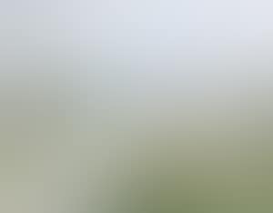 The Mournes (preview)