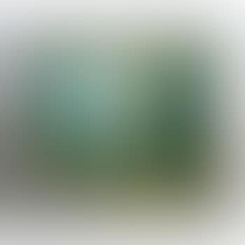 False Idol (preview)