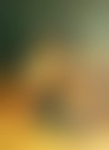 Little girl with apples (preview)