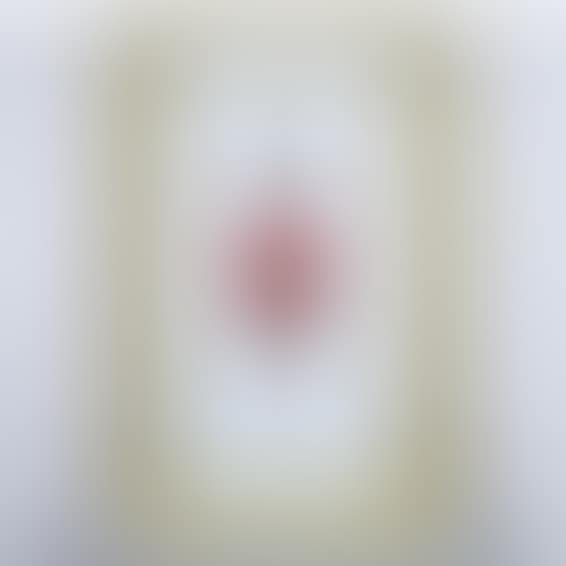 The Immaculate Heart - Lost (preview)
