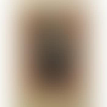 Head Of An Old Man With Beard (W. 206) (preview)