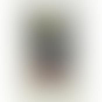 Wrong War Placard (preview)