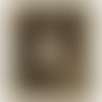 Portrait Of A Lady (preview)