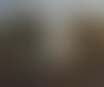 A wooded landscape with a herdsman, cows and sheep near a pool (preview)