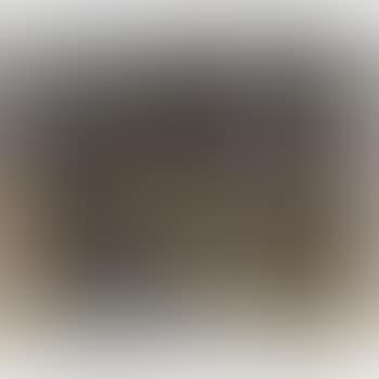 Boulevard Des Capucines (preview)