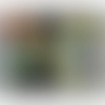 Vogelbeesten (preview)