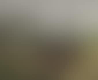 Le Phare (preview)