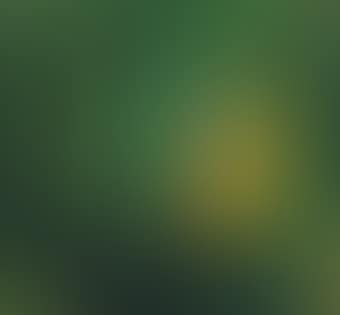 In A Darkened Room (preview)