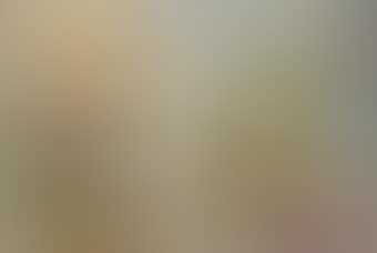 Composition de fleurs (Composition of flowers) (preview)