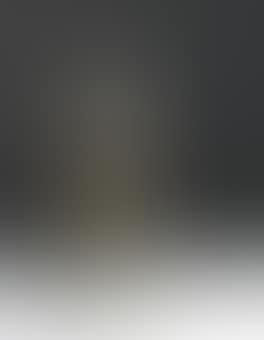 Torso 2 (preview)