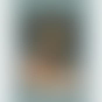 Orbis Pictus (preview)