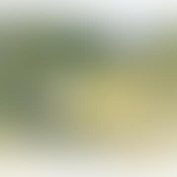 La Fenaison (preview)