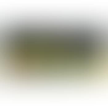 Verre Et Poires (preview)