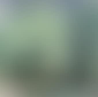 Summer Landscape (preview)