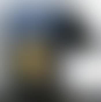 Violon menagere (preview)