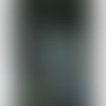 The Crotch (S63x - 1st Version) (preview)