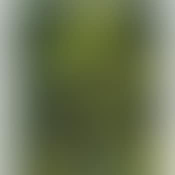 Head Of Gerda Boehm (preview)