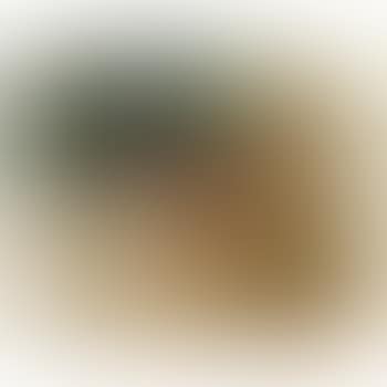 A Young Partridge (preview)