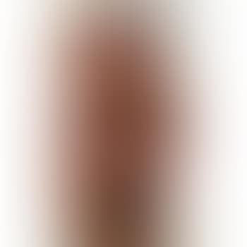 Standing Nude; Standing Nude II (preview)