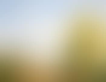 Harvest time (preview)