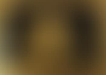 Gold Flags (preview)