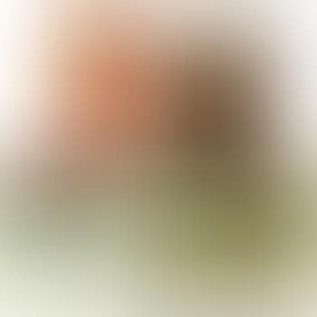 Twenty Photographic Pictures (preview)