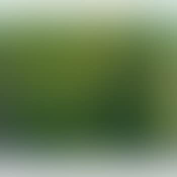 Trees (preview)