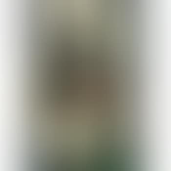 Untitled (Still Life) (preview)