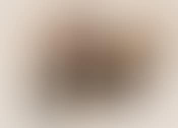 25. febr. 61 gr (preview)