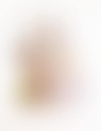 Hommage to Mourlot (preview)