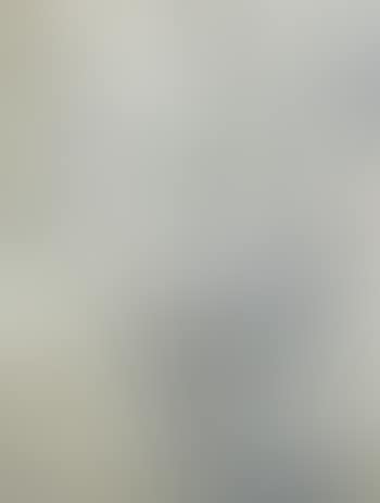 Plage ensoleillee (preview)