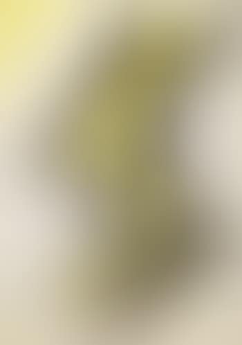 Composition (preview)