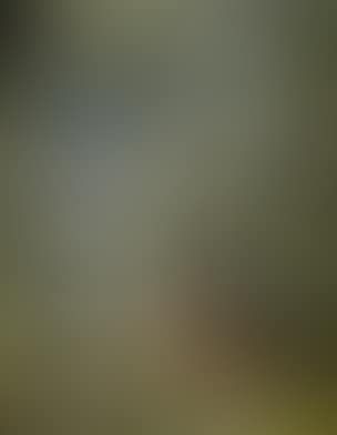 Composition (preview)