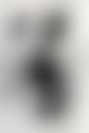 Untitled, (P329) (preview)