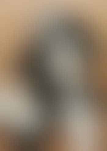 Nurse (preview)