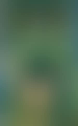 Compositie (preview)